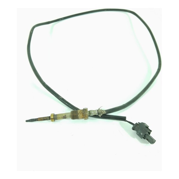 Sensor Temperatura Gases Bmw X5 Diesel 2017 8514730