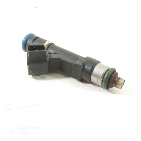 Bico Injetor Ecosport 2.0 2013/2017 0280158162