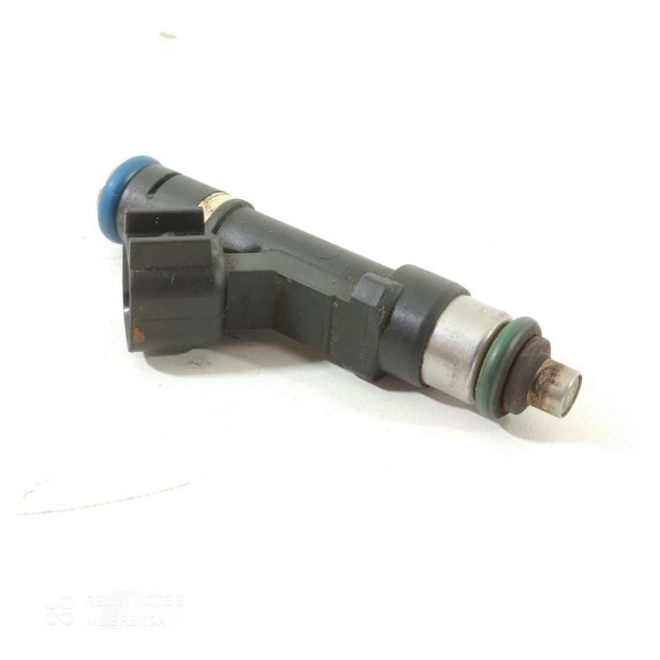 Bico Injetor Ecosport 2.0 2013/2017 0280158162