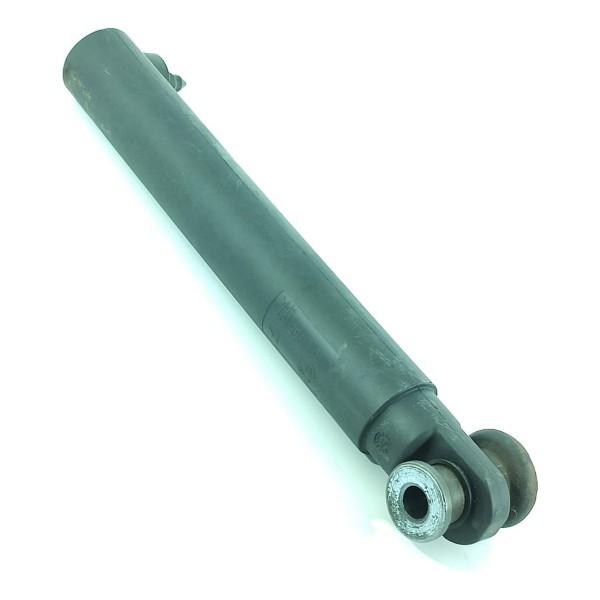 Amortecedor Tampa Traseira Inf Bmw X5 2013/2020 737176501