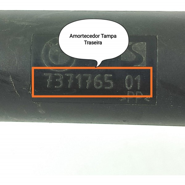 Amortecedor Tampa Traseira Inf Bmw X5 2013/2020 737176501