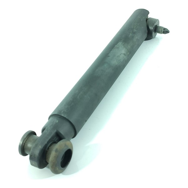 Amortecedor Tampa Traseira Inf Bmw X5 2013/2020 737176501