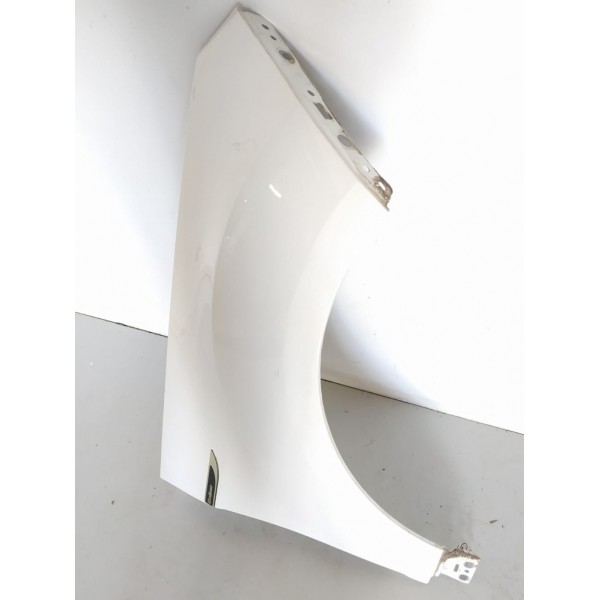 Paralama Ecosport Direito 2018 2019 2020 2021 Liso