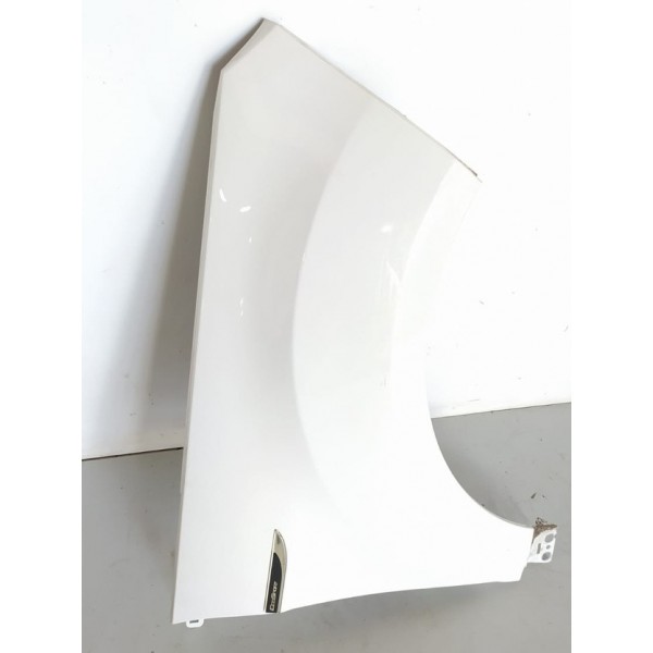 Paralama Ecosport Direito 2018 2019 2020 2021 Liso