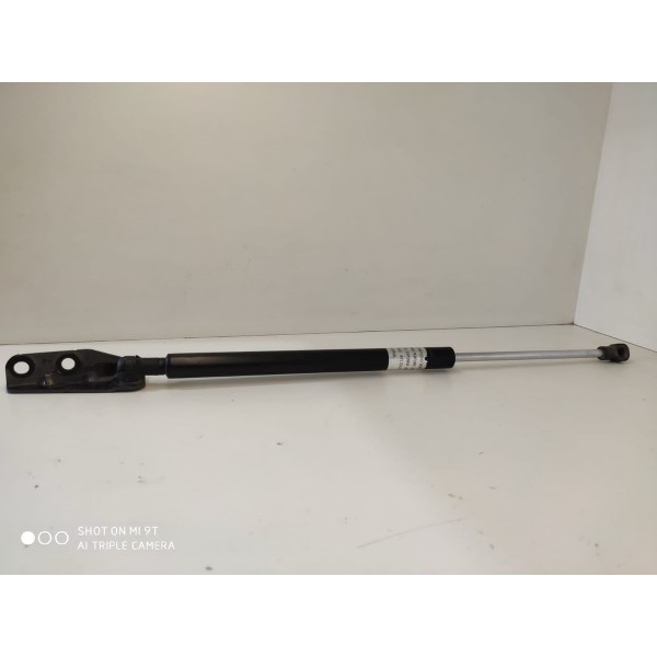 Amortecedor Tampa Traseira Suzuki Sx4 2011