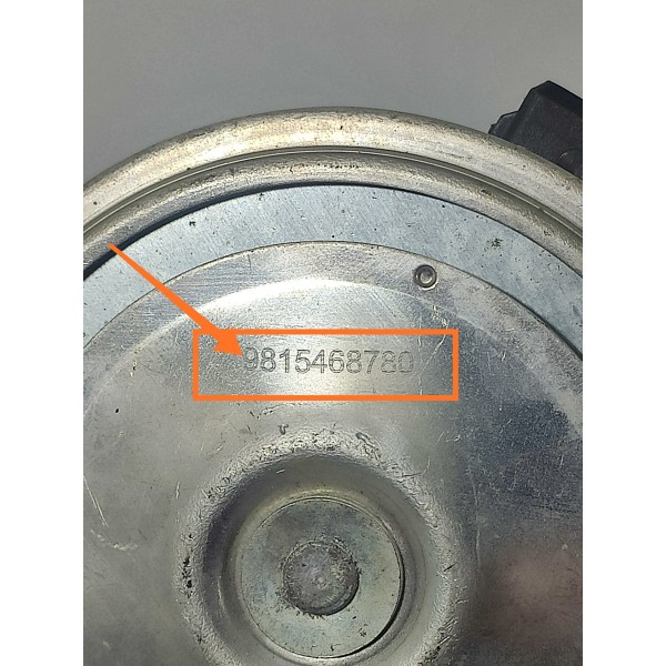 Buzina Alarme Pugeot Citroen 9815468780