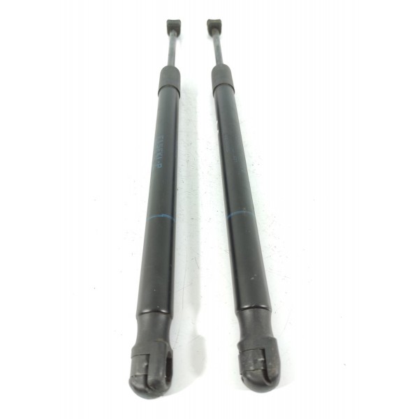 Par Amortecedor Capo Bmw X5 X6 2014/2018 51237294524