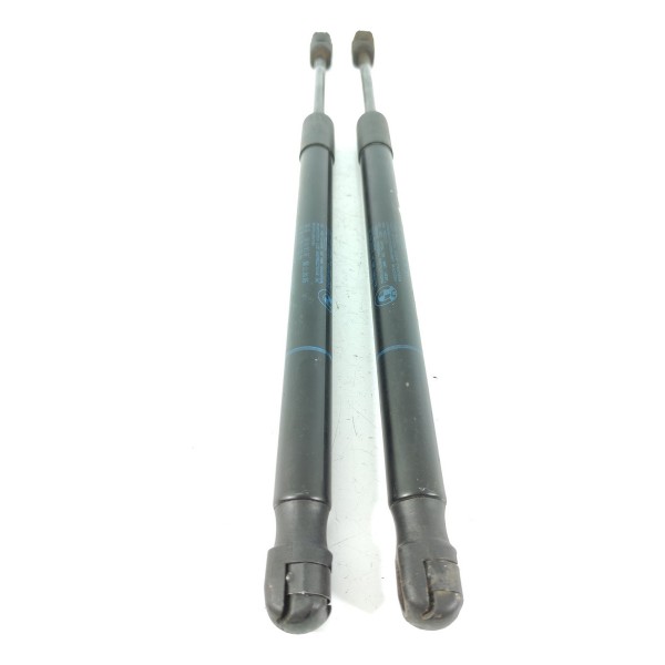 Par Amortecedor Capo Bmw X5 X6 2014/2018 51237294524