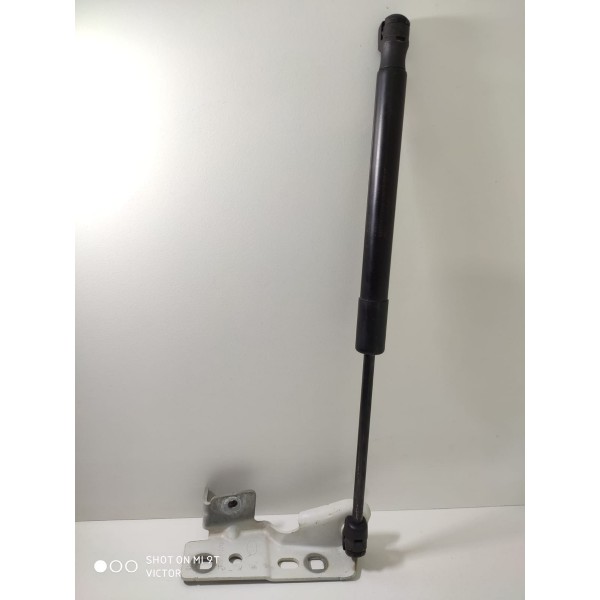 Amortecedor Suporte Capo Discovery Sport 2018 Fk7216c826