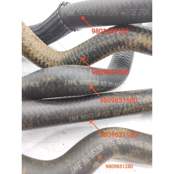 Kit Mangueira Agua C4 Cactus 2018 2019 2020/2024 9801631180