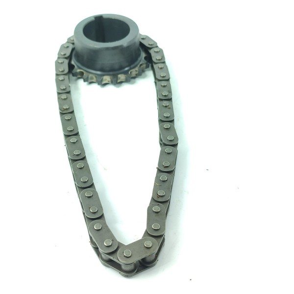 Engrenagem Corrente Bomba Oleo C4 Cactus 2018/2024 Original