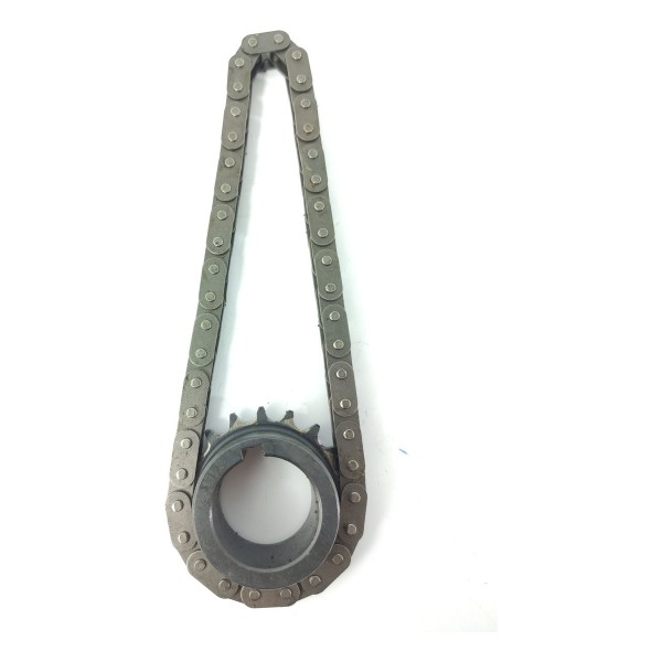 Engrenagem Corrente Bomba Oleo C4 Cactus 2018/2024 Original