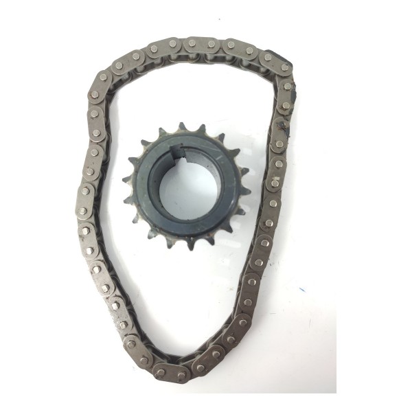 Engrenagem Corrente Bomba Oleo C4 Cactus 2018/2024 Original