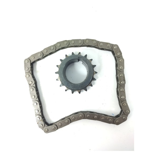 Engrenagem Corrente Bomba Oleo C4 Cactus 2018/2024 Original