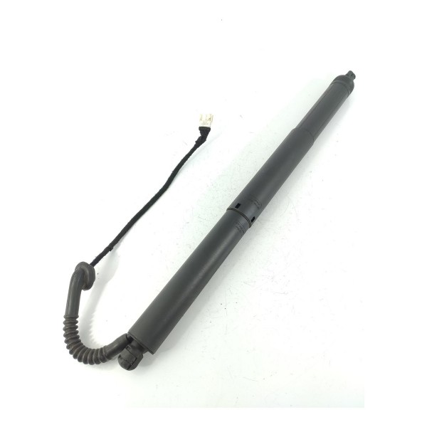 Amortecedor Porta Mala Bmw X5 Eletrico Dir 2014/2018 7361878