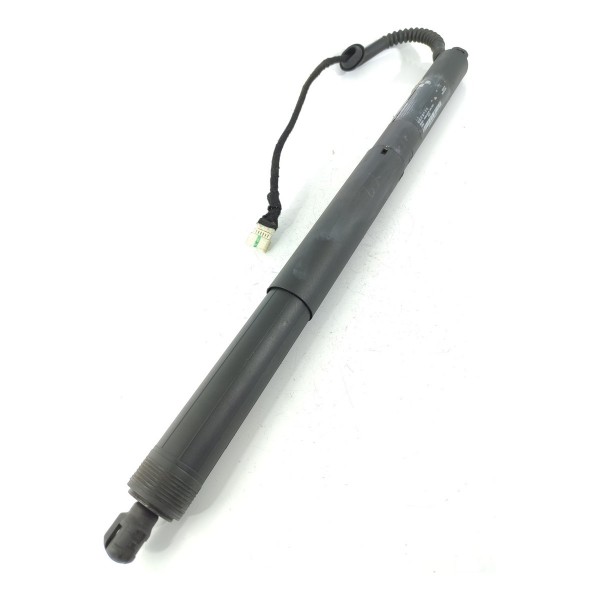 Amortecedor Porta Mala Bmw X5 Eletrico Dir 2014/2018 7361878