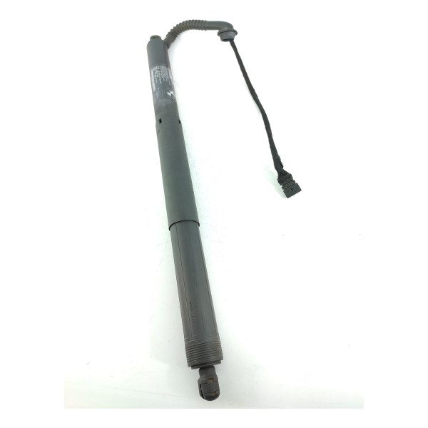 Amortecedor Porta Mala Bmw X5 Eletrico Esq 2014/2018 7294469