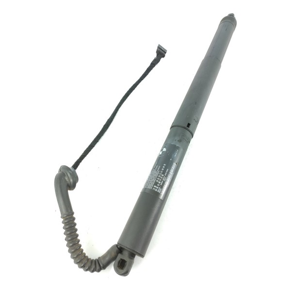 Amortecedor Porta Mala Bmw X5 Eletrico Esq 2014/2018 7294469