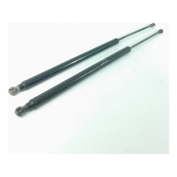 Par Amortecedor Tampa Traseira Honda Hrv 15/21 74820t7t0033