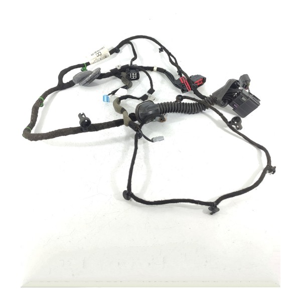 Chicote Porta Traseira Evoque  2011/2019 Bj3214633