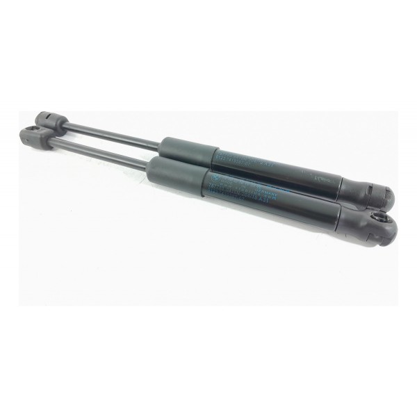 Par Amortecedor Capo Bmw 320 330 2019/2025 5123741938707