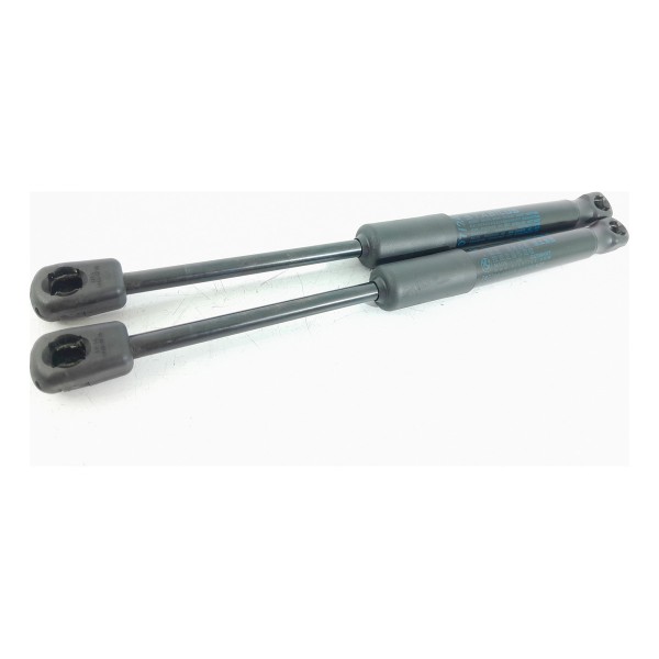 Par Amortecedor Capo Bmw 320 330 2019/2025 5123741938707