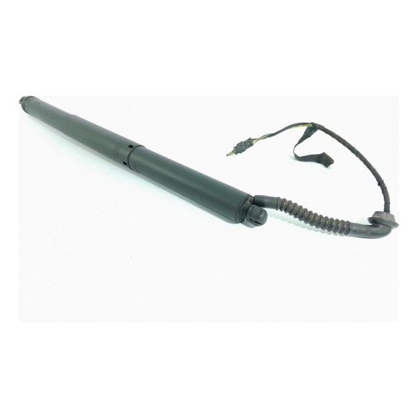 Amortecedor Porta Mala Bmw X5 Eletrico Esq 2014/2018 7294469