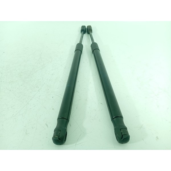 Amortecedor Capo Bmw X5 X6 2014/2018 51237294524