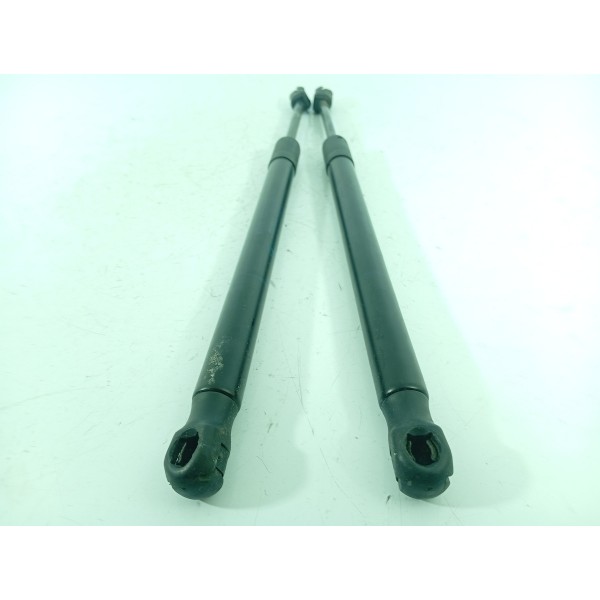 Amortecedor Capo Bmw X5 X6 2014/2018 51237294524