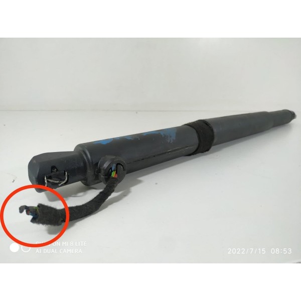 Amortecedor Bmw X6 Tampa Traseira 2010/2017 718848909