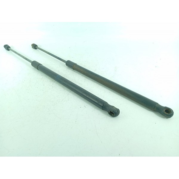 Par Amortecedor Tampa Traseira Freelander 2008/15 6h52406a10