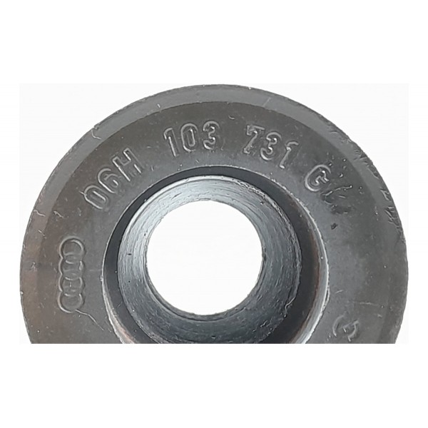 Engrenagem Eixo Balanceador Audi Q5 2.0 13/17 06h103731g