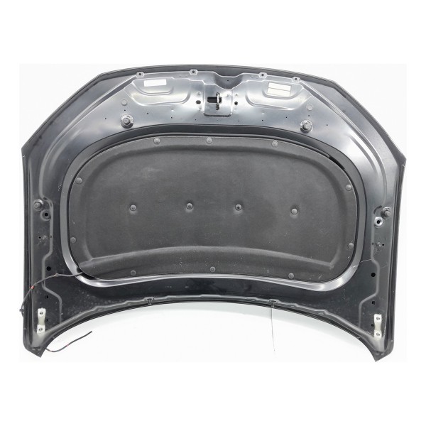 Capo Ford Territory 2024 2025 Original