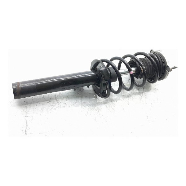 Torre Telescopio Territory Dianteiro Dir 21/25 Na9118045aa