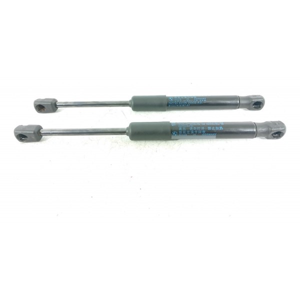 Par Amortecedor Capo Bmw 320 330 G20 2019/2025 5123741938707