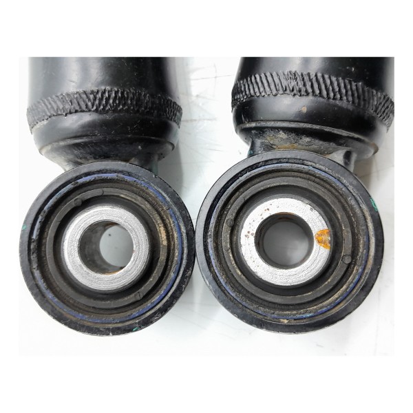 Par Amortecedor Ford Territory 1.5 Traseiro 21/25 Ns118097ac