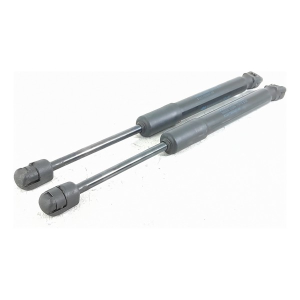 Par Amortecedor Capo Mini Cooper S 2017 2018/2020 7300567