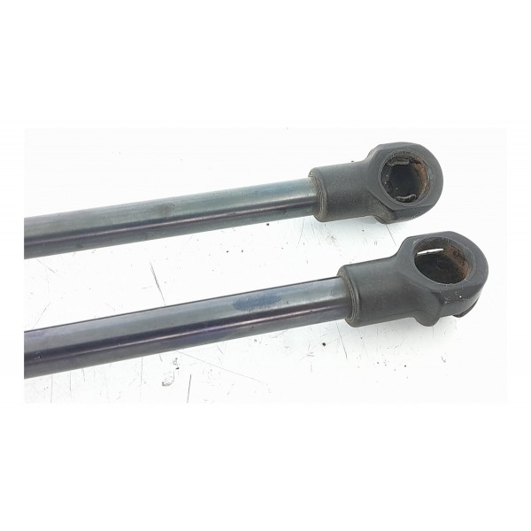 Par Amortecedor Tampa Traseira Discovery 3 08/15 8h22406a10