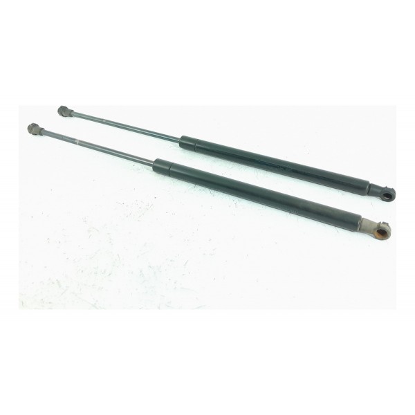 Par Amortecedor Tampa Traseira Discovery 3 08/15 8h22406a10