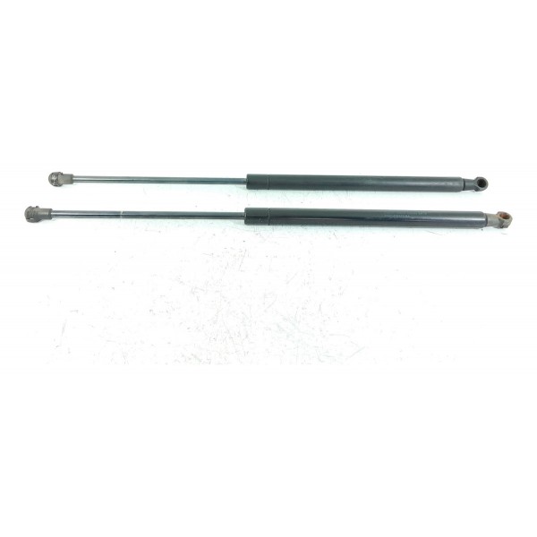 Par Amortecedor Tampa Traseira Discovery 3 08/15 8h22406a10