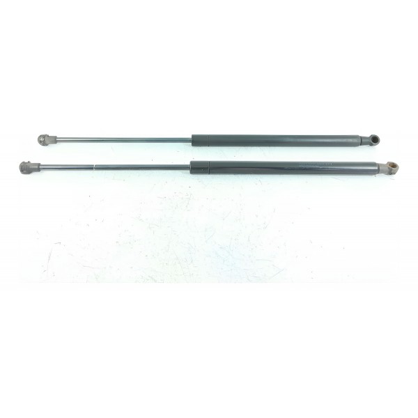 Par Amortecedor Tampa Traseira Discovery 3 08/15 8h22406a10