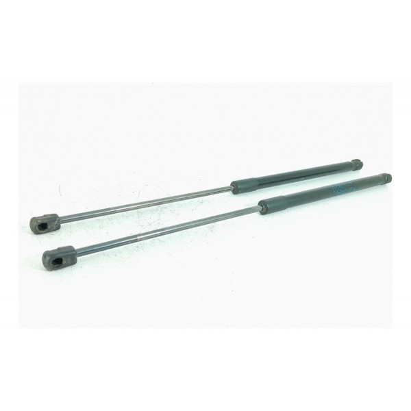 Par Amortecedor Tampa Traseira Mini Cooper 14/20 731889606