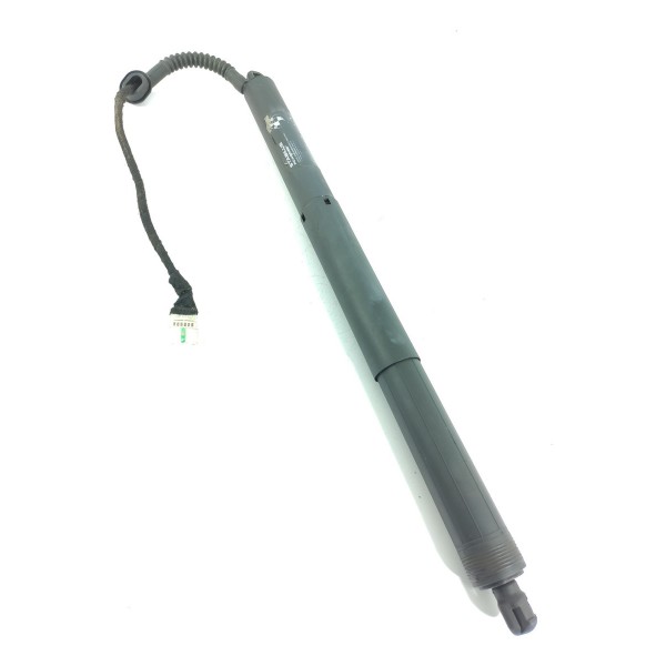 Amortecedor Tampa Tras Bmw X5 Eletrico Dir 2014/2018 7361878