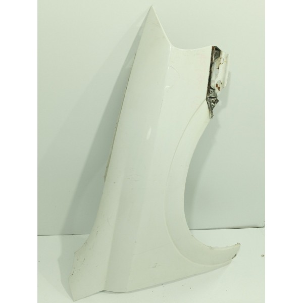 Paralama Astra Direito 2001/2006