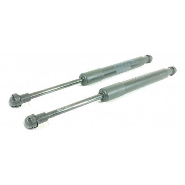 Amortecedor Tampa Traseira Bmw Z4 2009/2016 7191255