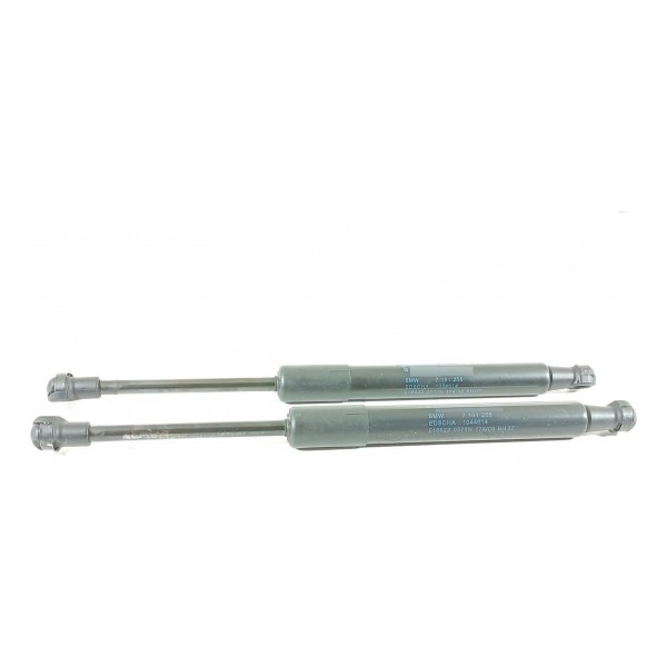 Amortecedor Tampa Traseira Bmw Z4 2009/2016 7191255