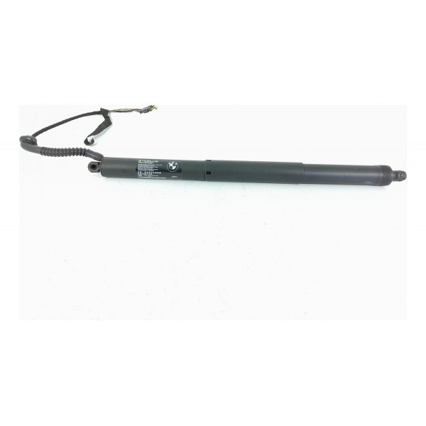 Amortecedor Tampa Tras Bmw X5 Eletrico Esq 2014/2018 7294469