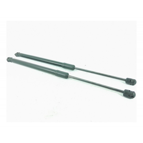 Par Amortecedor Tampa Traseira Territory 21/25 Ns116c826aa