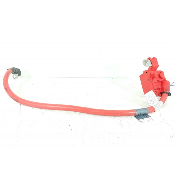 Cabo Bateria Bmw X3 X4 X5 Positivo 2012/2018 10304410