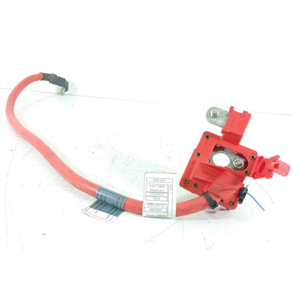 Cabo Bateria Bmw X3 X4 X5 Positivo 2012/2018 10304410